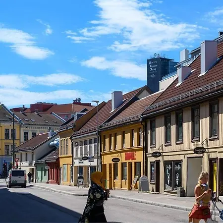 Attraktiv Og Klassisk Leilighet Midt I Oslo, 80M2 Exterior photo