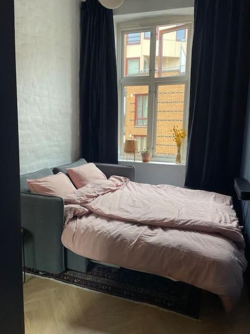 Attraktiv Og Klassisk Midt I Oslo, 80m2 Apartment Oslo